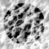 mixedcelluloseestermembranes