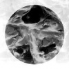 ptfe_filter_pure