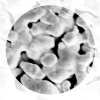 silvermembranefilter