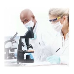 gelatinfilters