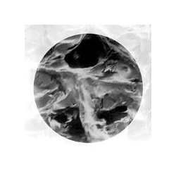 ptfe_filter_pure